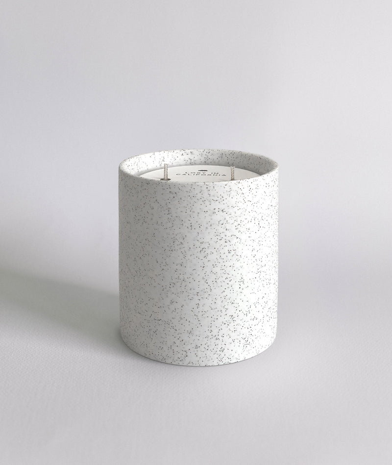 Arcata Speckled Ceramic